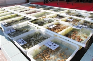 南澳海鮮餐廳推新模式 取消加工費(fèi)，強(qiáng)化銷售品質(zhì)承諾