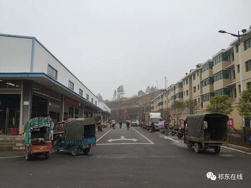 祁東縣大型活禽水產綜合批發市場 位置、功能與區域商貿新格局
